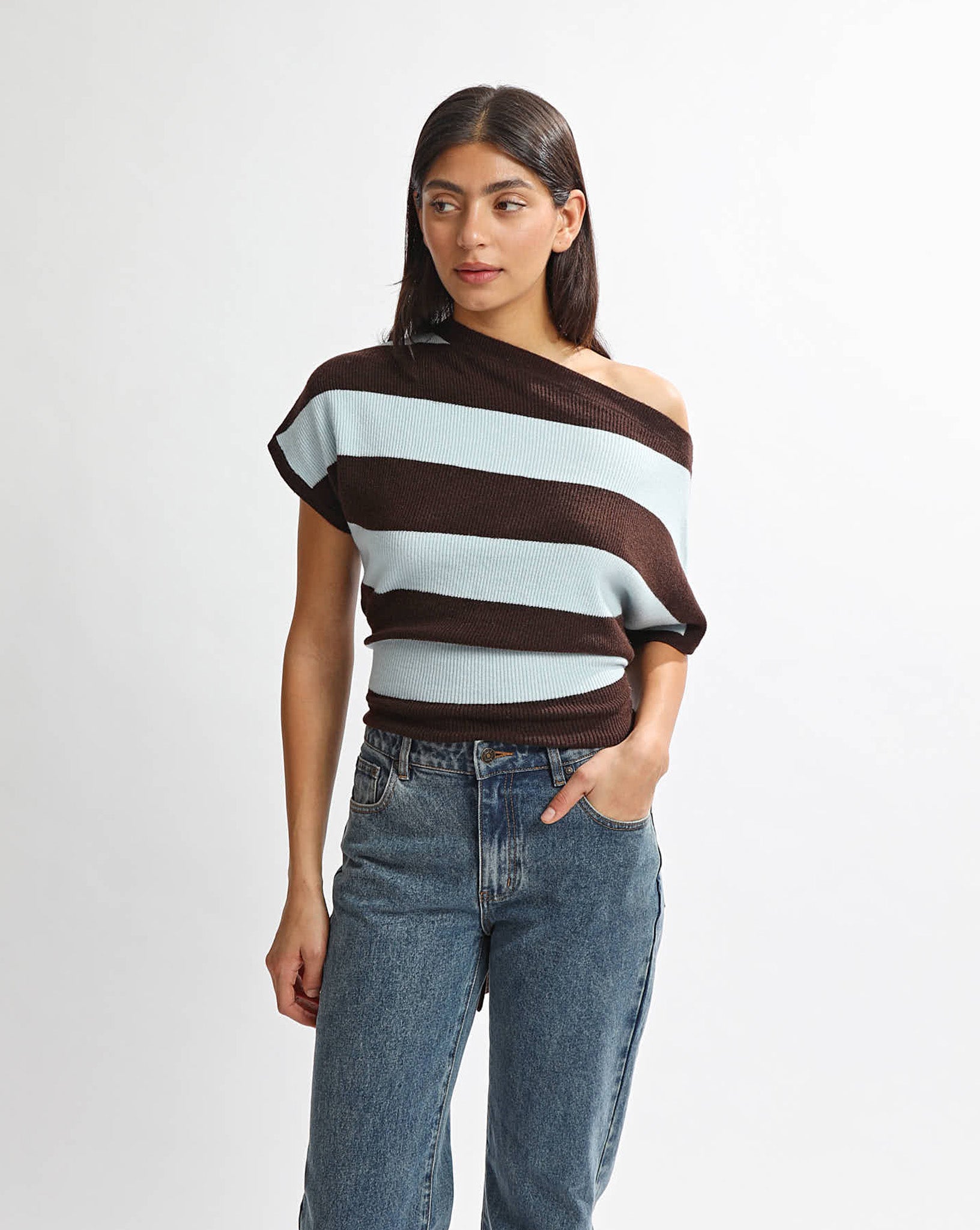 Charlotte Top Blue/Brown Stripe